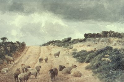 Schafe auf den Surrey Hills von Richard Beavis